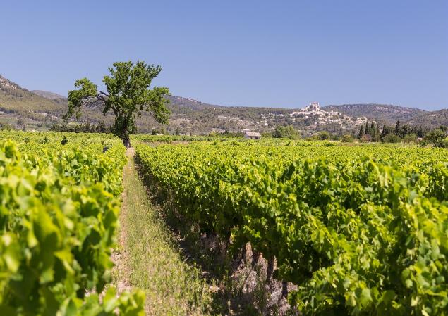 Fond Ventoux