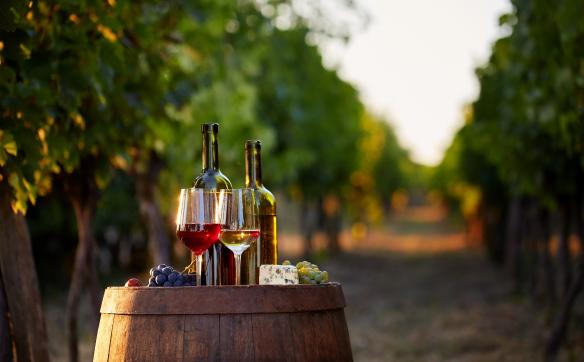 bouteilles et verres sur un tonneau au milieu des vignes